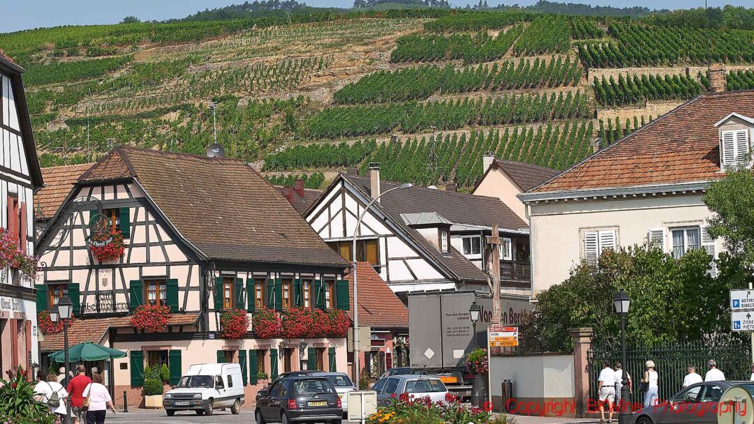 En by, Riquewihr, i Alsace med korsvirkeshus och vingårdar på en kulle