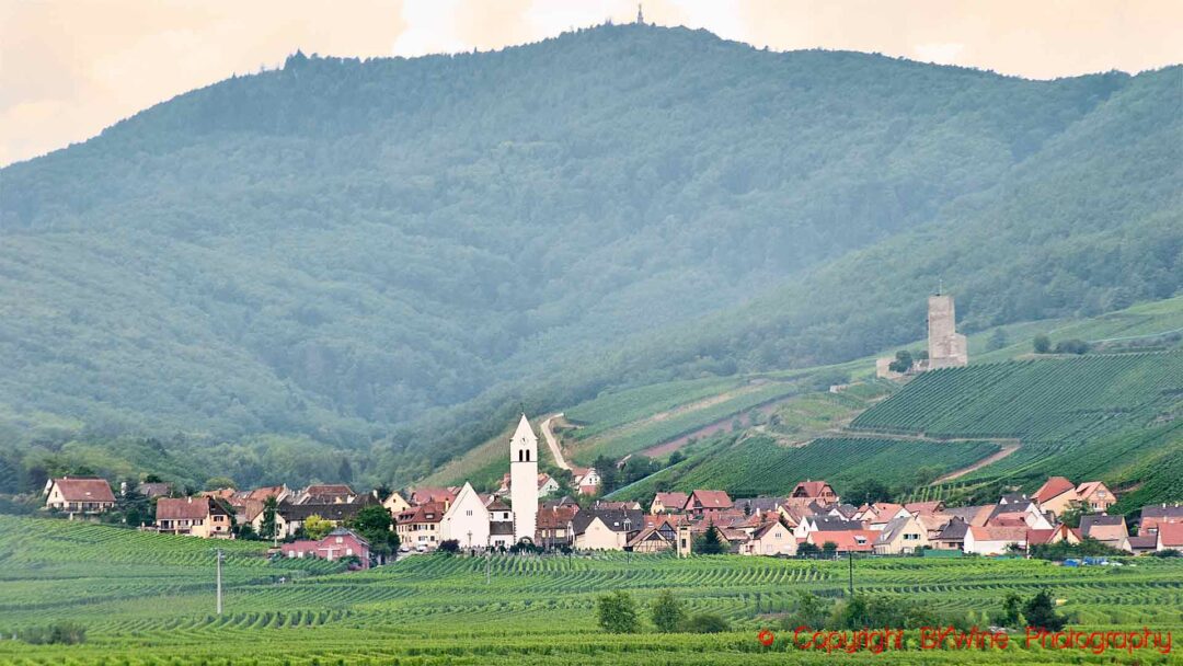 Vingårdar runt byn Katzenthal med sin kyrka i Alsace